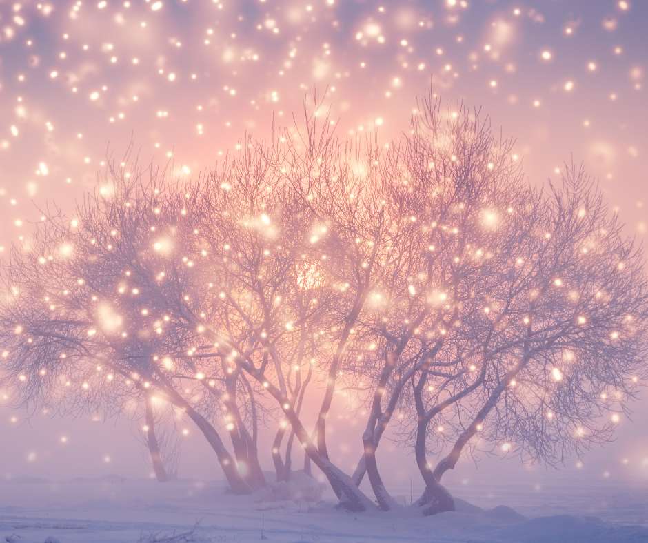 trees with magic dust sprinkled over it